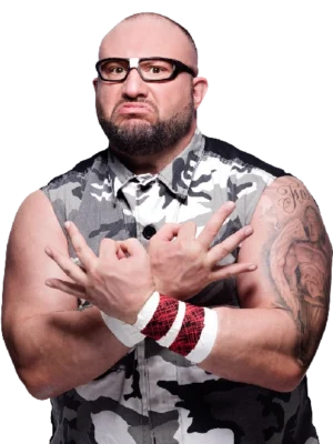 Bubba Ray Dudley Wrestler Profile, Career, Titles & Gimmicks