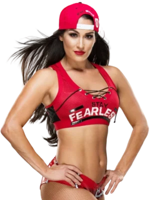 Nikki Bella | Wrestler Profile, Career, Titles & Gimmicks | Wrestling
