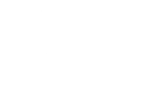 Bullet Club