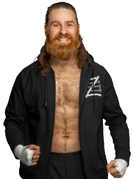 Sami Zayn Wrestler Profile Career Titles Gimmicks Sami Zayn Wrestler Profile Career Titles Gimmicks