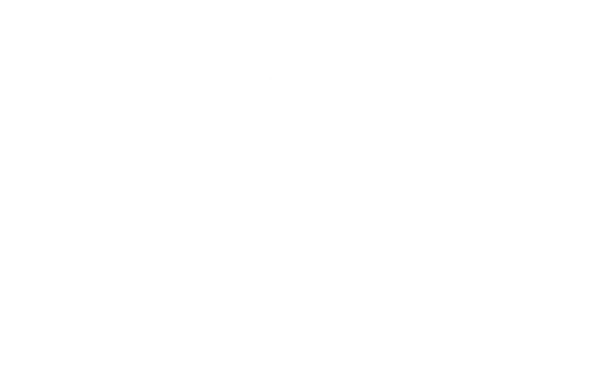 The Elite