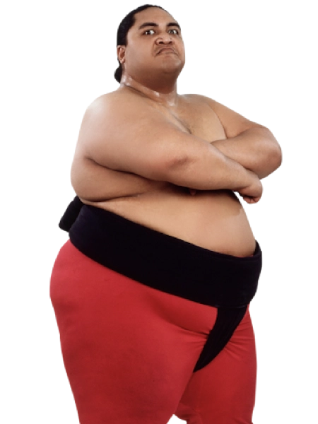 Yokozuna