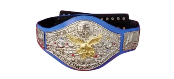 WWWF World Tag Team Championship