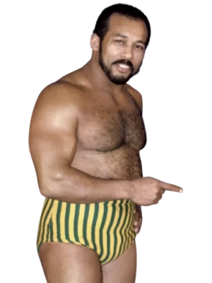 Johnny Rodz