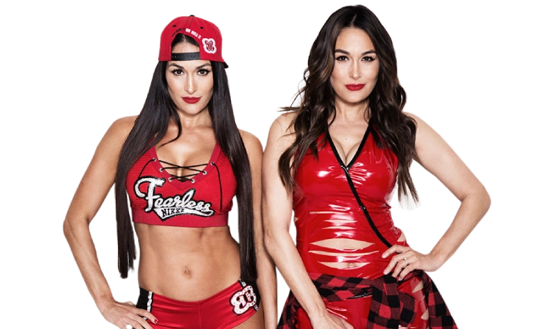 The Bella Twins