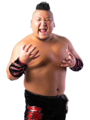 Kuma Arashi