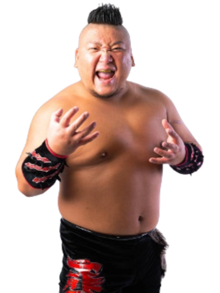 Kuma Arashi