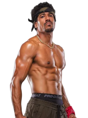 AR Fox