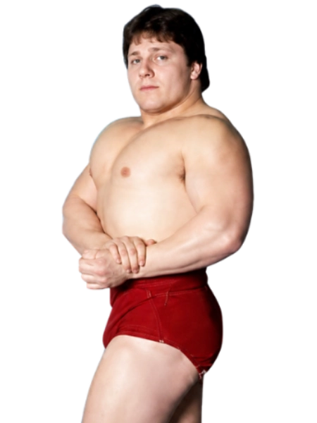 David Sammartino
