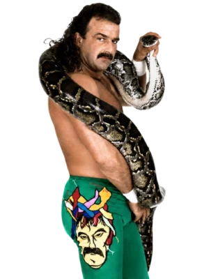 Jake Roberts