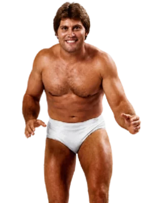 Jim Brunzell