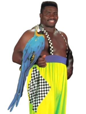 Koko B. Ware