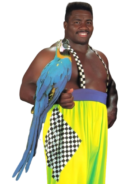 Koko B. Ware