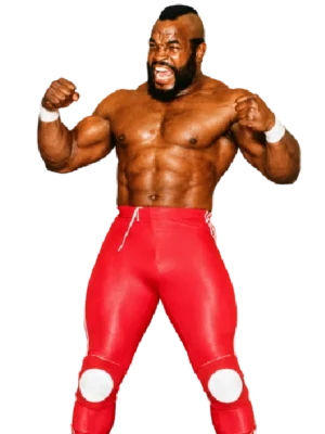 Mr. T