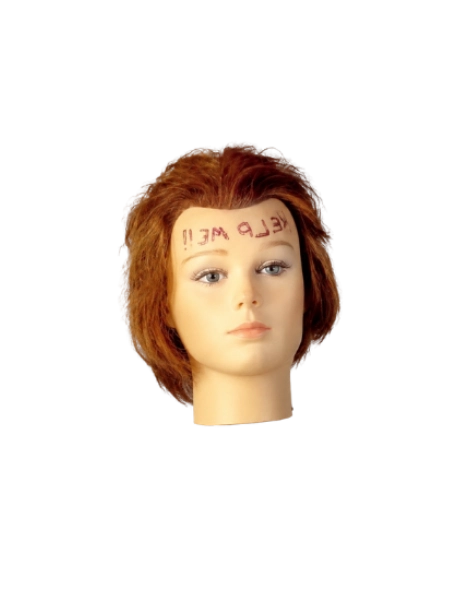 Head