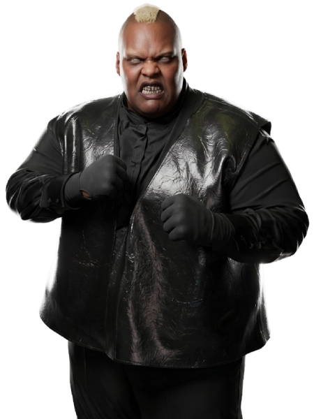 Viscera