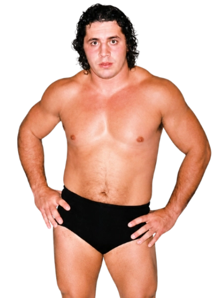 Bret Hart
