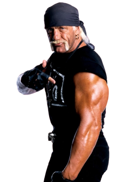Hollywood Hogan