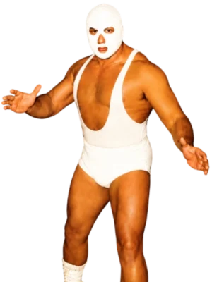 Mr. Wrestling