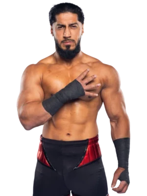Mustafa Ali