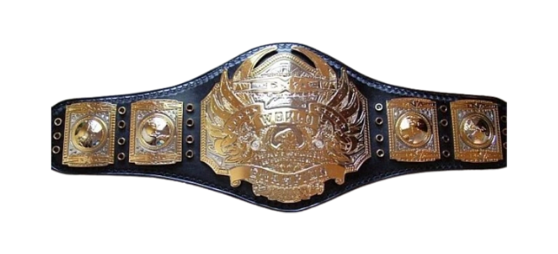 TNA World Heavyweight Championship