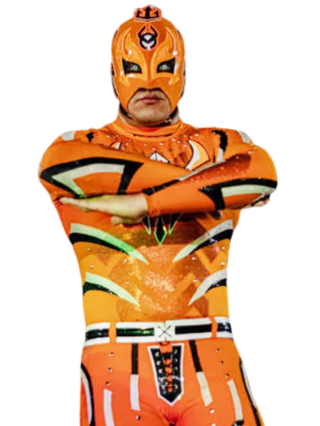 Vengador