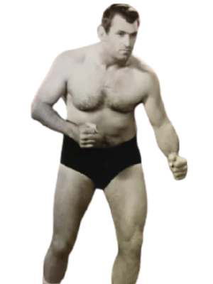 Baron Mikel Scicluna