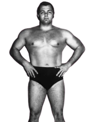 Gino Brito
