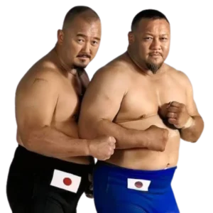 Mr. Fuji and Professor Tanaka