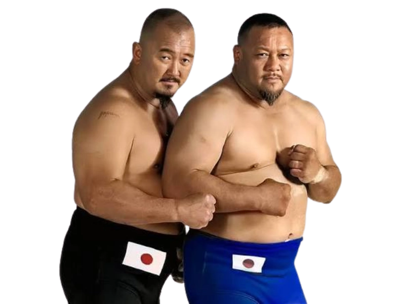 Mr. Fuji and Professor Tanaka