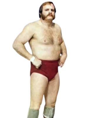 Ole Anderson