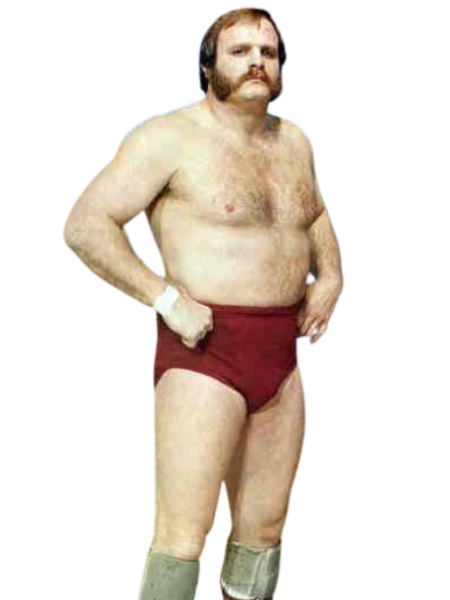 Ole Anderson