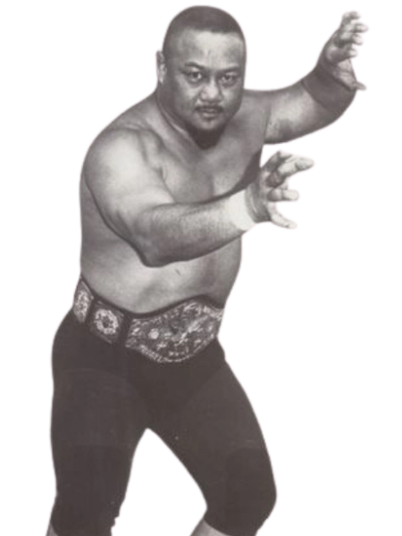 Professor Tanaka