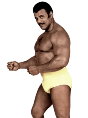 Rocky Johnson