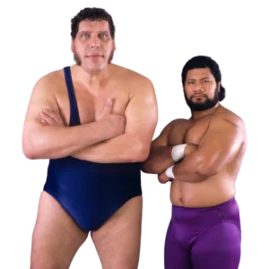 The Colossal Connection