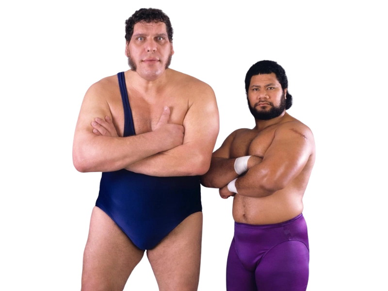 The Colossal Connection