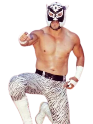 Tiger Boy