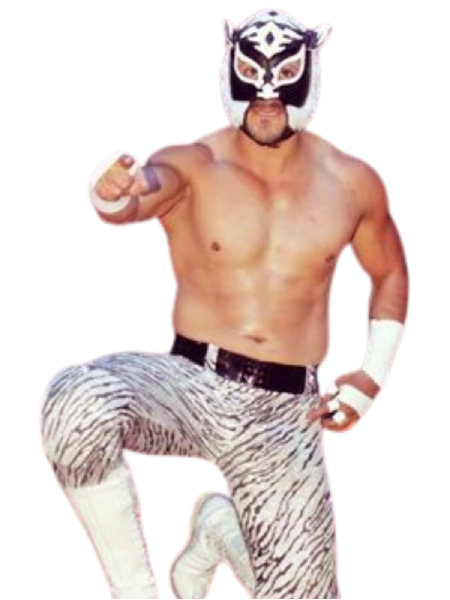 Tiger Boy