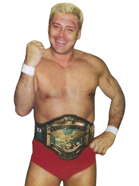 Ronnie Garvin