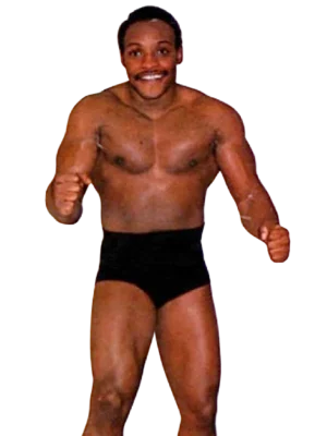 Skip Young